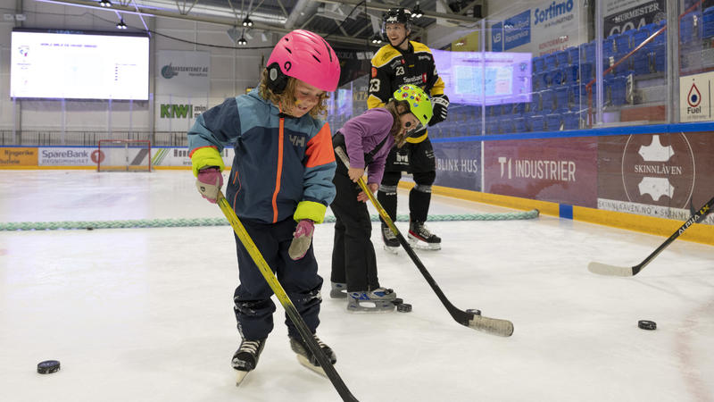 Skøyteskolen og Hockeyskolen