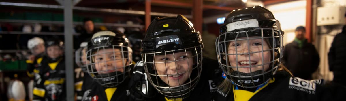 Behovet vårt for 2 isflater og større hall