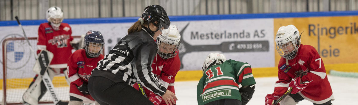En dommer på utviklingstur