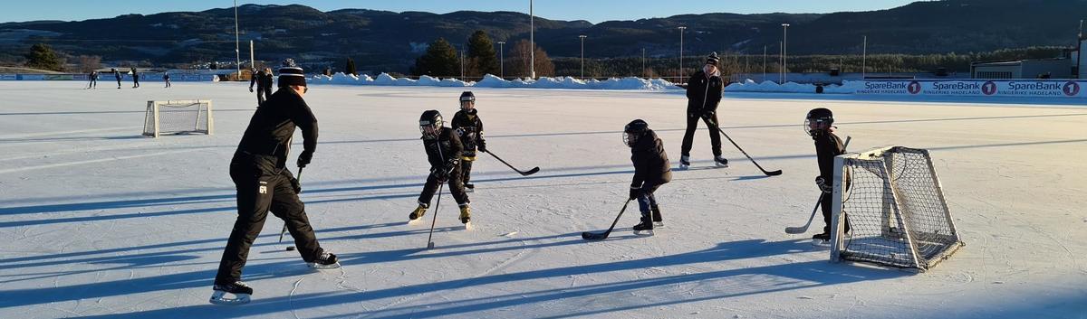 Utendørs skøytebaner