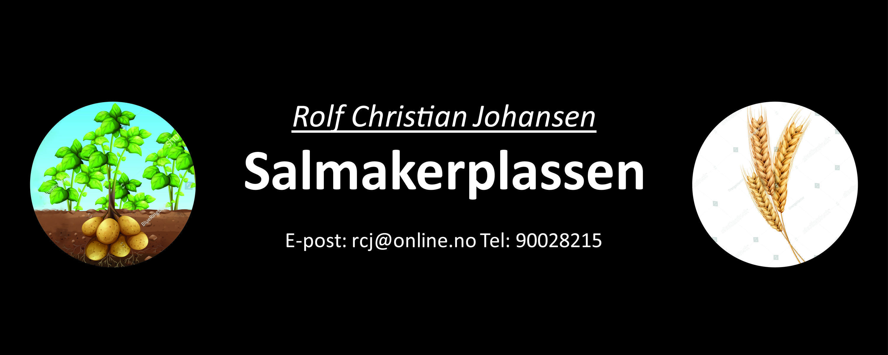 Rolf Christian Johansen - Salmakerplassen